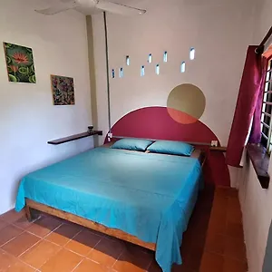 Hostel Dragonfly